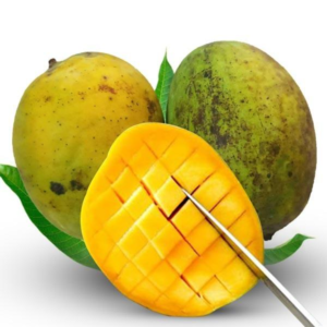 ল্যাংড়া আম – ঘন স্বাদ ও প্রাকৃতিক সুগন্ধে ভরপুর