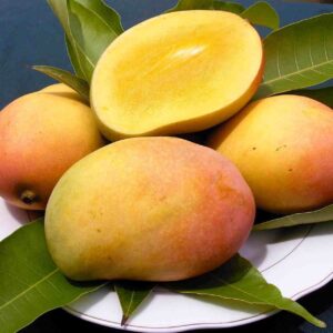 হিমসাগর আম – প্রাকৃতিকভাবে পাকা, অতুলনীয় মিষ্টতা